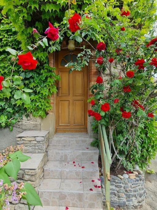 Maison Ideale Pour Une Famille Carcasona Exterior foto